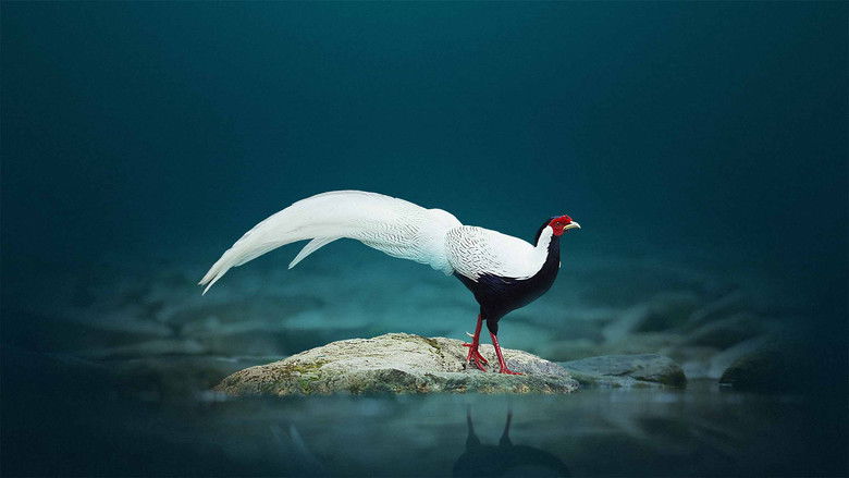 Still image for China's Wild Guangdong season 3 episode 1: Episode 1