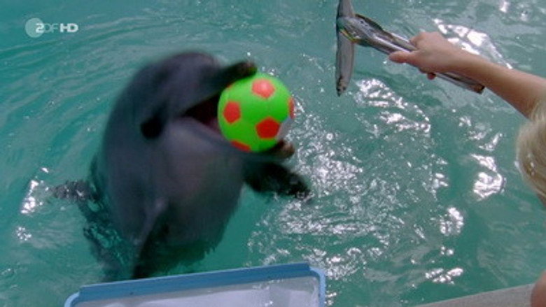 Still from H2O: Just Add Water - Season 3 Episode 19