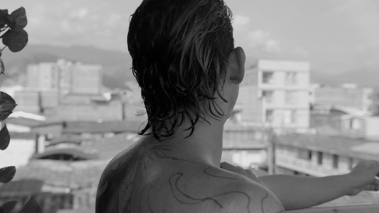 Imatge de sol de agua