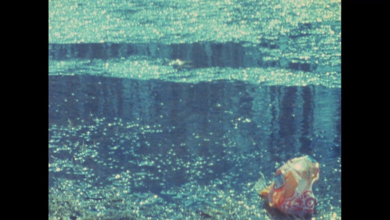 Backdrop de Visions in Meditation