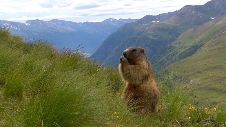 Naturparadiese+mit+Zukunft