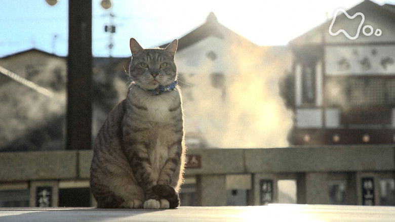Still image for Mitsuaki Iwago's World “Cats” Travelogue season 1 episode 136: Gunma Still image for Mitsuaki Iwago's World “Cats” Travelogue season 1 episode 136: Gunma
