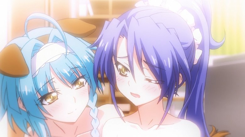 The testament of sister