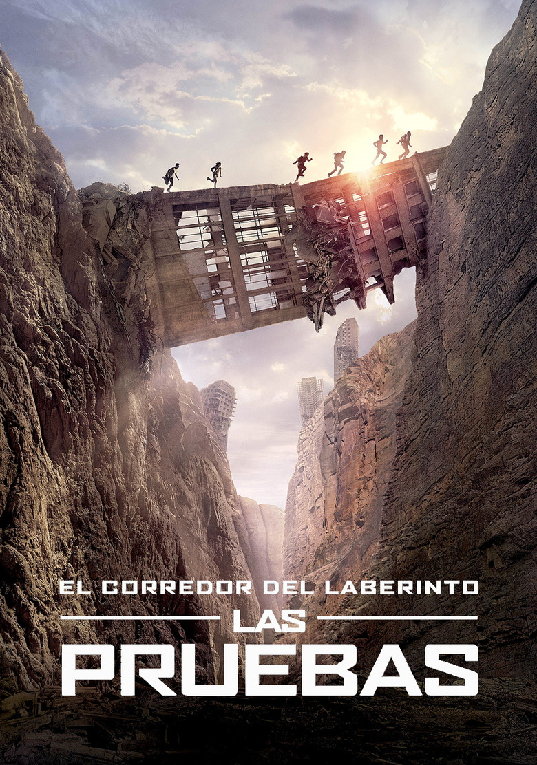 Póster la Película