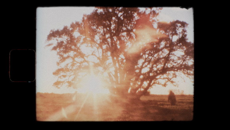 Negative image 2