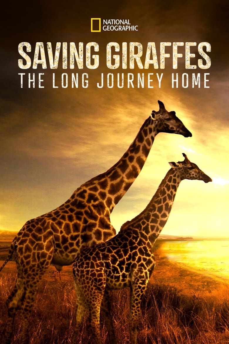 Saving Giraffes: The Long Journey Home poster