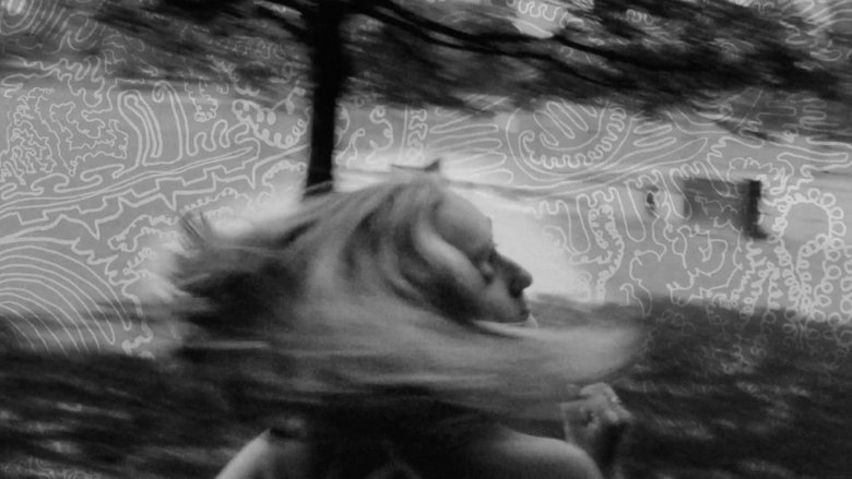 Gallery image from 4w7sLAHT0rqXZ7JdjTK07GGX9xW.jpg