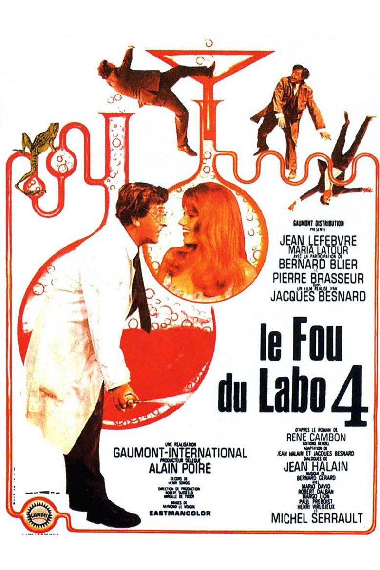Affiche de LE FOU DU LABO 4