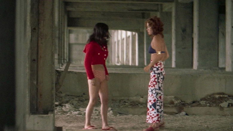 Imatge de 女番長ブルース 牝蜂の逆襲