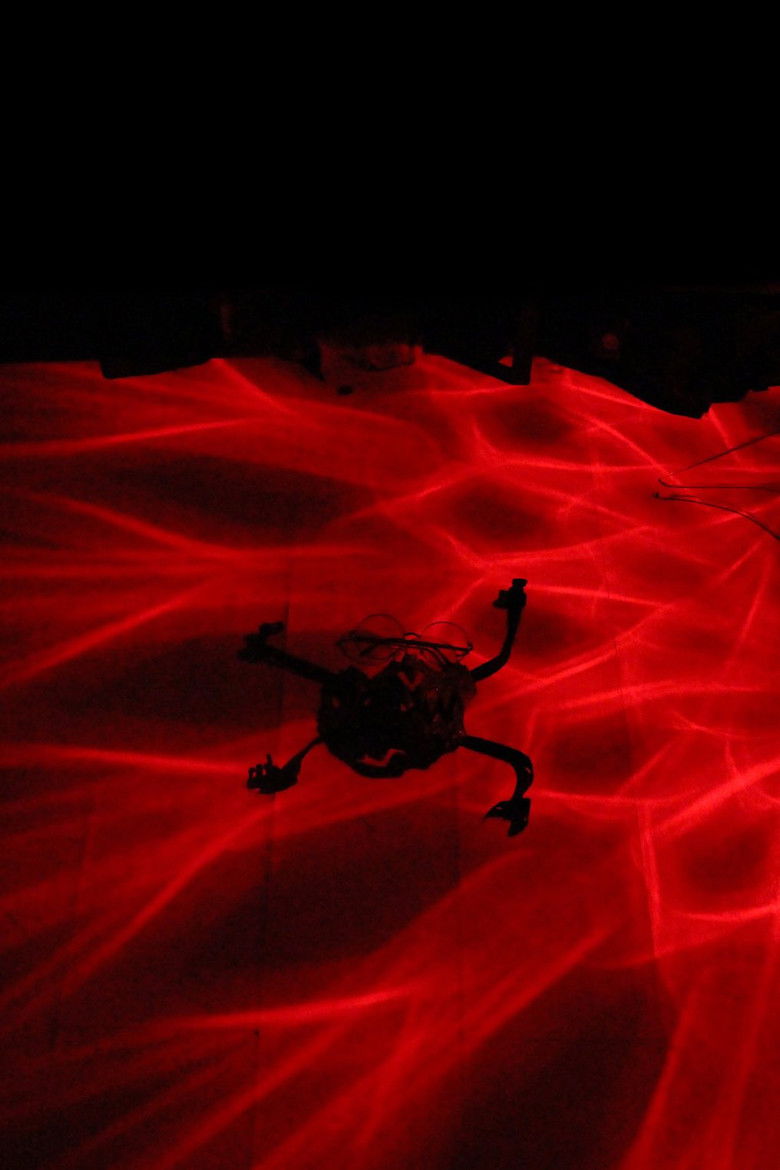 Imatge de Flooding Memories