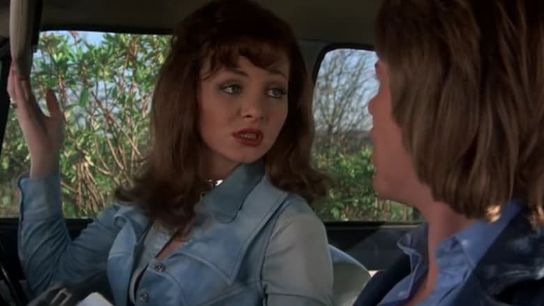 Confessions of a Driving Instructor (1976)