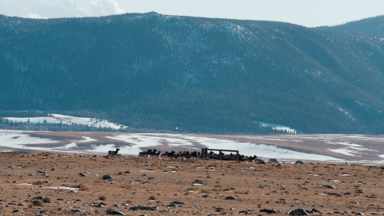 Frame from 50 Hours to Wyoming