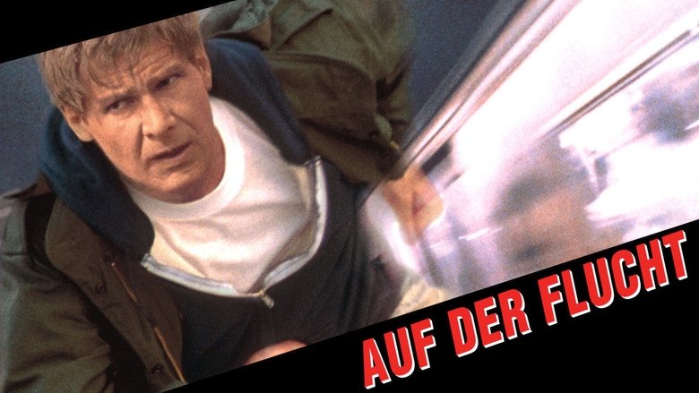 Auf der Flucht (1993)