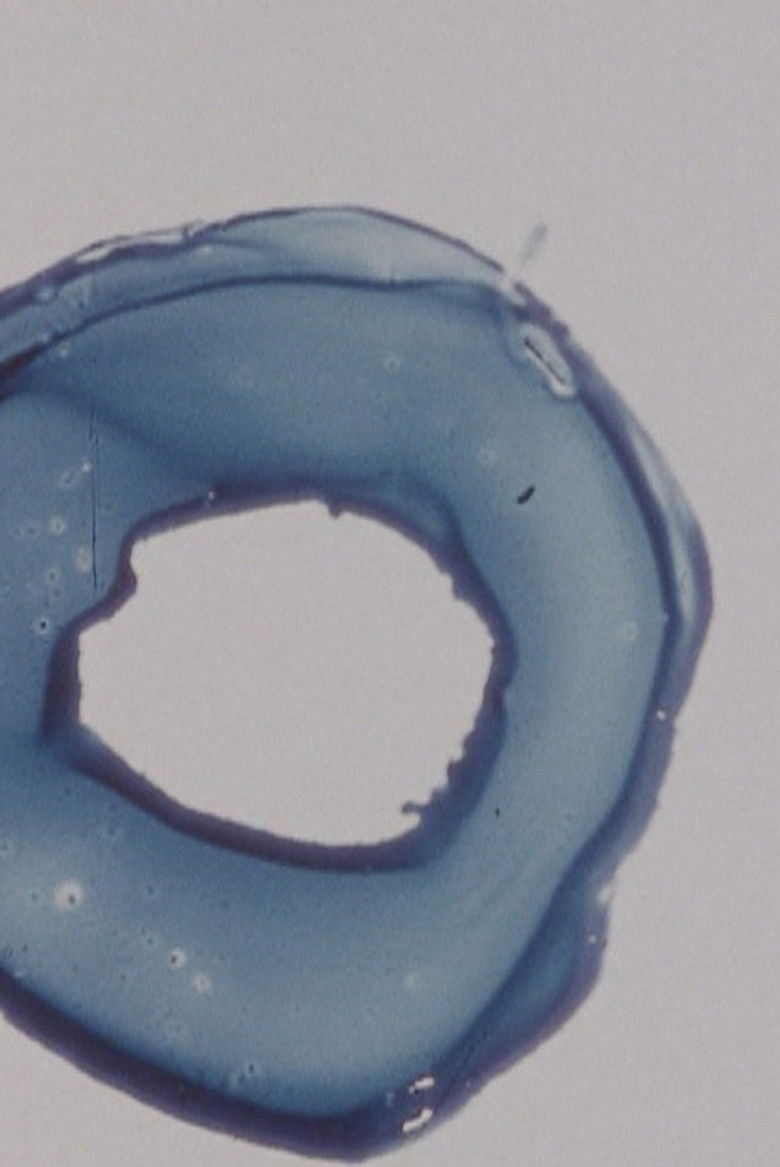 Imatge de Report from Millbrook