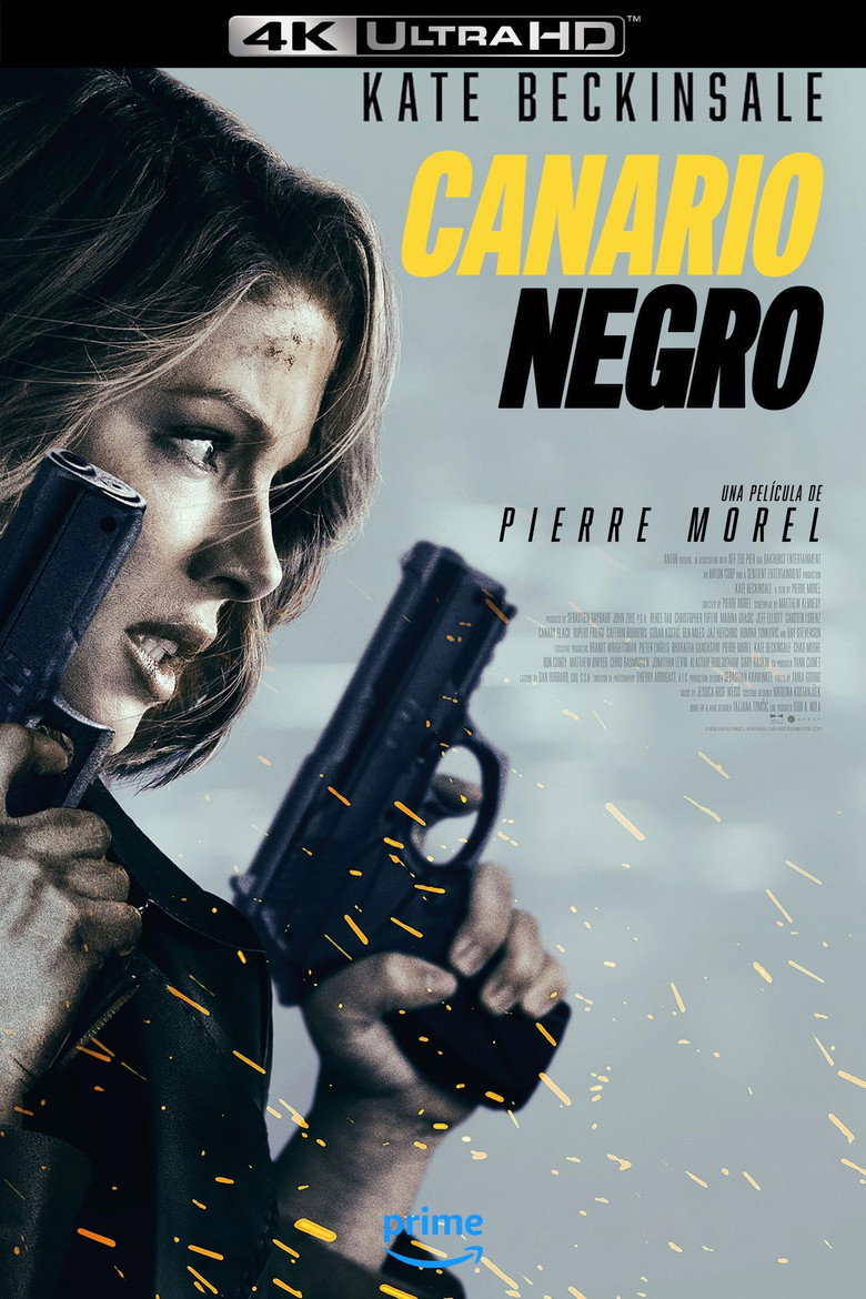 Póster la Película