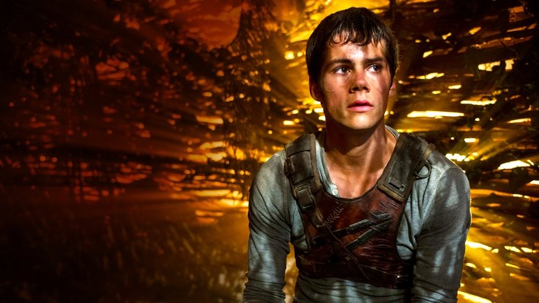 Maze Runner