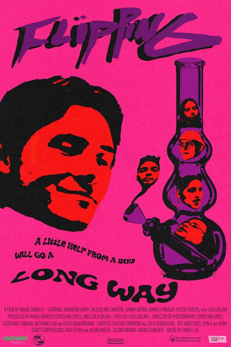 Flipping main poster
