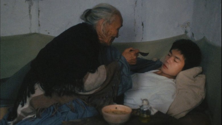 Revenge (1990)