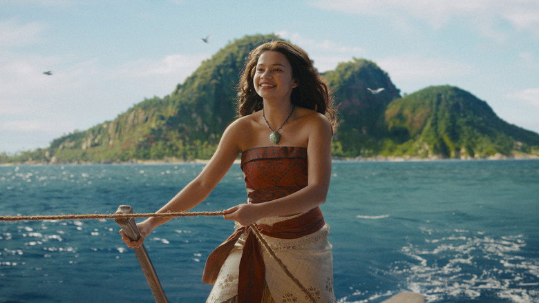 Moana backdrop 23
