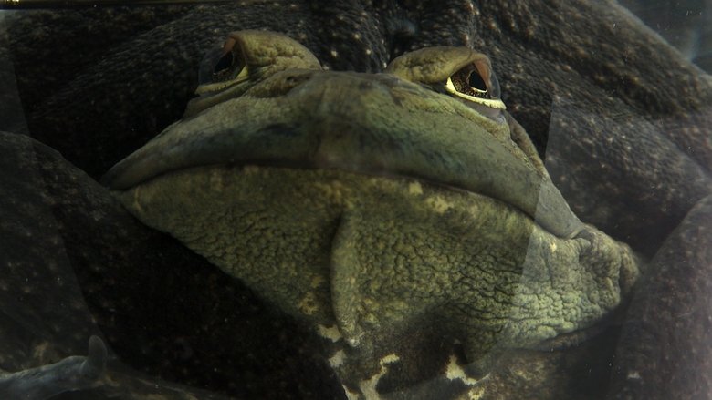 Gallery image from 51CWOl41VNVnzbeubzFhg95mfwS.jpg