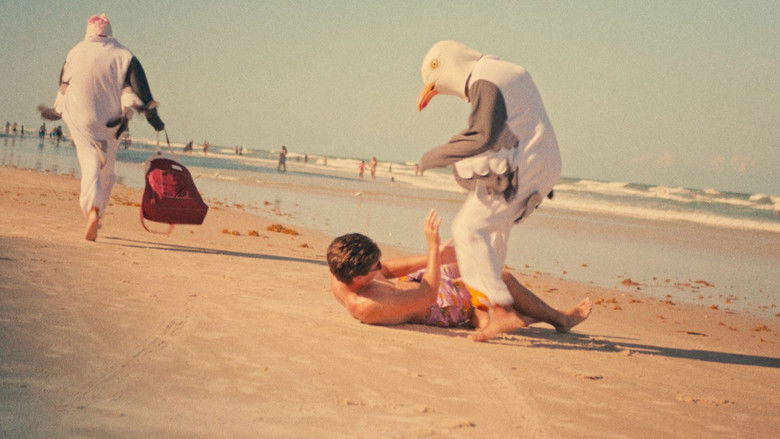 Imatge de I Had a Dream I Was a Bird