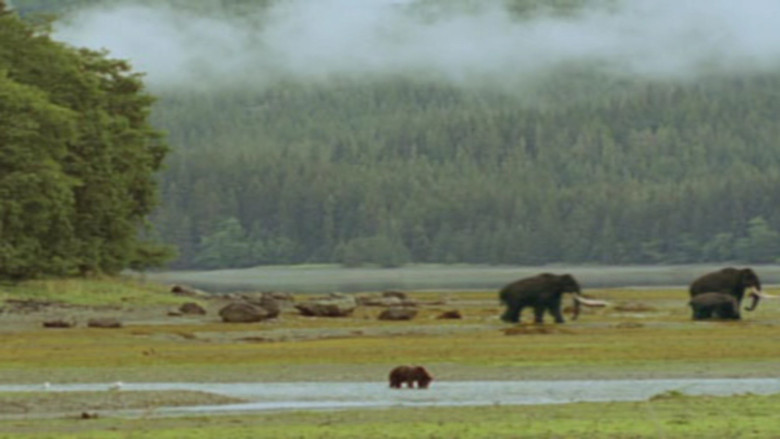 Still image for Wild New World season 1 episode 4: Edge Of The Ice Still image for Wild New World season 1 episode 4: Edge Of The Ice