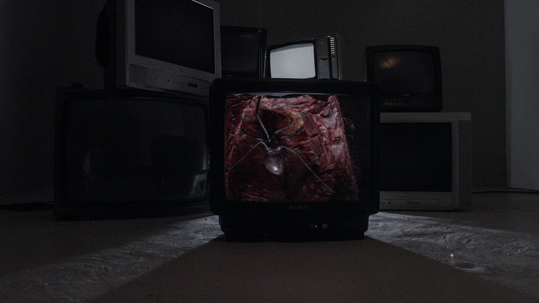 Gallery image from 533RIy3oncMqqo1mjk0taPqcM0M.jpg