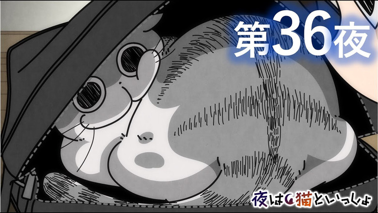 Still image for Nights with a Cat season 1 episode 36: Night 36: Cats Who Get in Bags