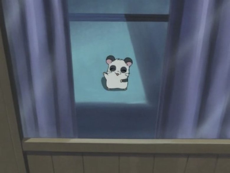 Still image for Hamtaro season 1 episode 35: Midnight Celebration Still image for Hamtaro season 1 episode 35: Midnight Celebration