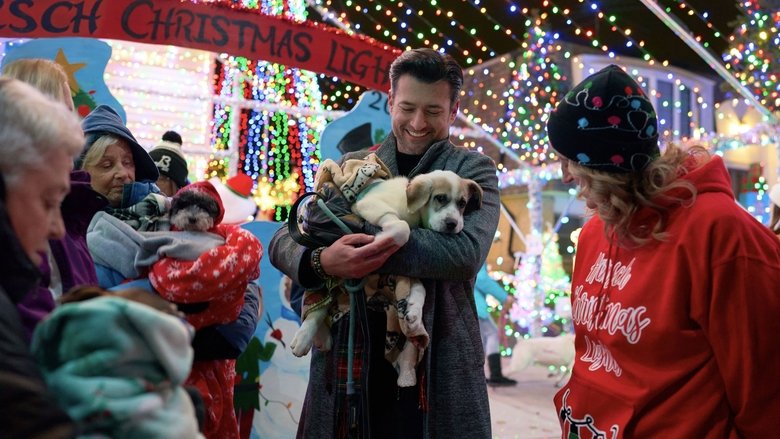 Still image for Ready, Set, Glow! season 1 episode 2: Festive Families