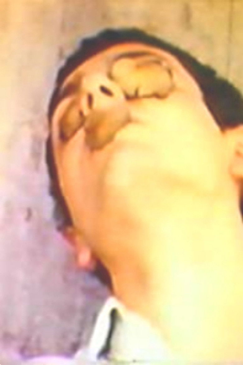 Imatge de Syd Barrett's First Trip