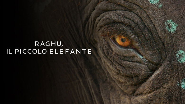 Gallery image from 53U1DQP6Fn0KZLPiAK95UwjM1XW.jpg