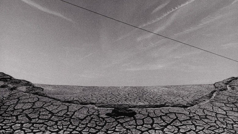 Gallery image from 53qiCkG0MiQJrDZVz1exgLlN2no.jpg