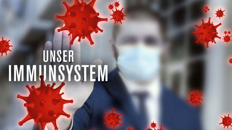 The Immune System: Guardian of Our Health image 5