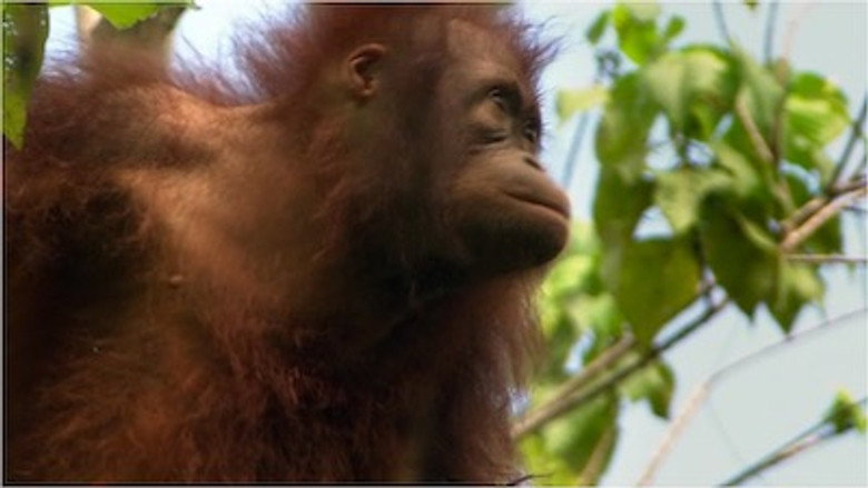 Grandeurs Nature Saison 1 Épisode 4 Voirfilms