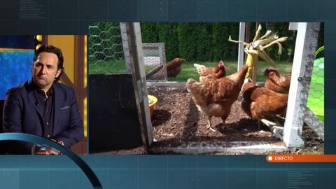 Still image for Horizonte season 1 episode 20: Episode 20