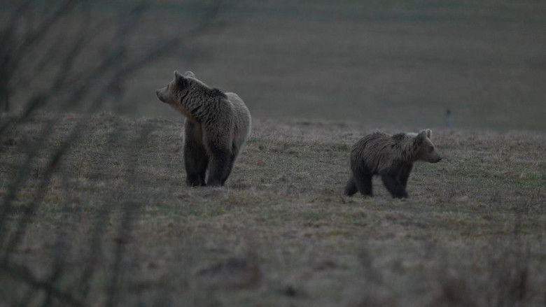 Gallery image from 55YznbHcCkLixF9K7RG6gzlQOvX.jpg