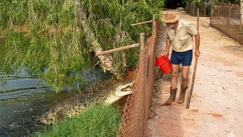 Imatge de Living With Crocodiles