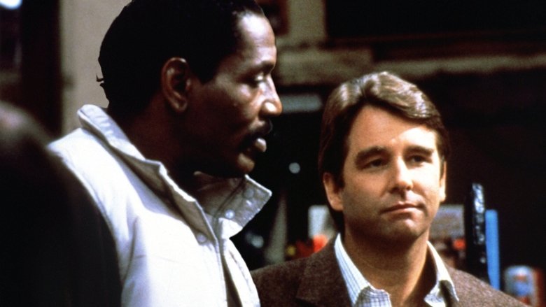 Gallery image from 57QSrnsWE3HvYymynfXfqLikpQc.jpg