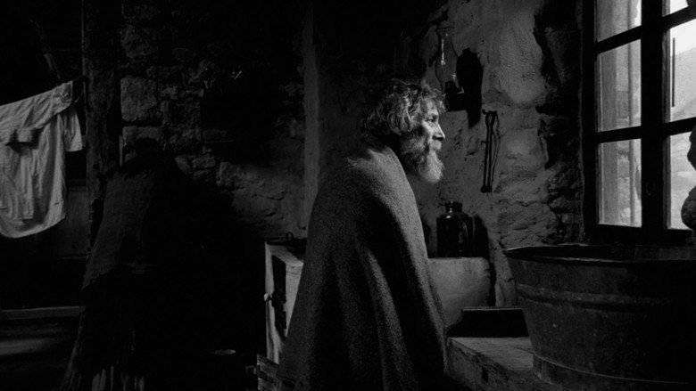 토리노의 말