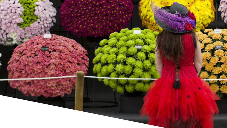 RHS Chelsea Flower Show backdrop
