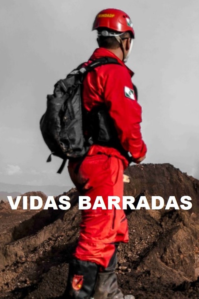 Vidas Barradas main poster