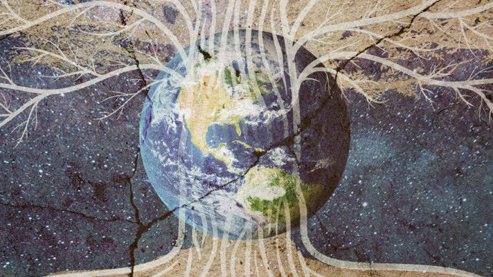 Still image for Ancient Civilizations season 1 episode 3: Tree of Life