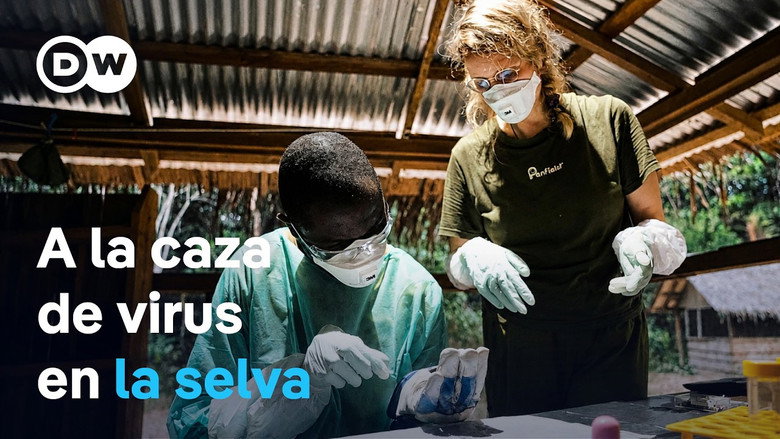 Can future pandemics be prevented? görseli