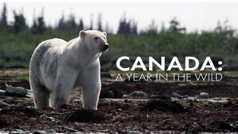 Canada: A Year in the Wild