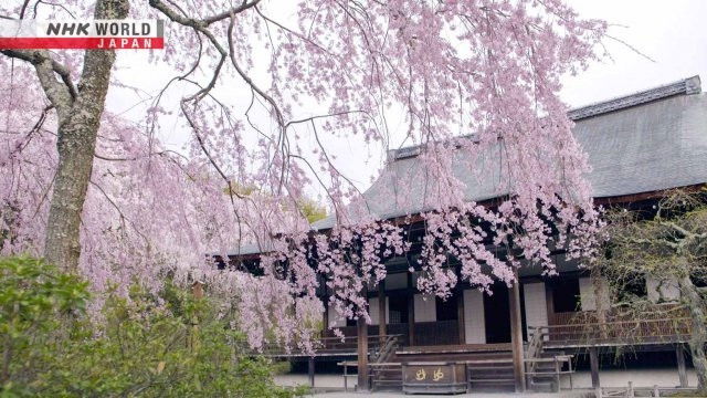 Still image for The World Heritage Sites in Japan season 1 episode 2: One Thousand Springs in the Capital: Historic Monuments of Ancient Kyoto Still image for The World Heritage Sites in Japan season 1 episode 2: One Thousand Springs in the Capital: Historic Monuments of Ancient Kyoto