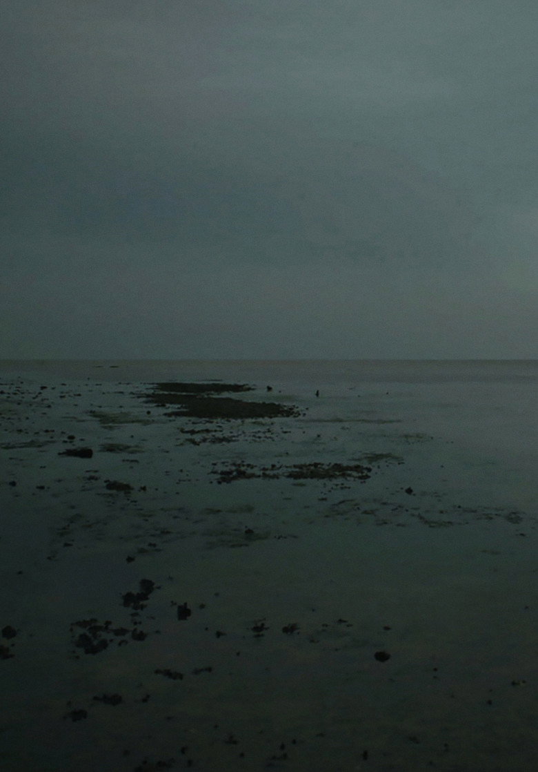 Imatge de Meta Incognita: Missive II