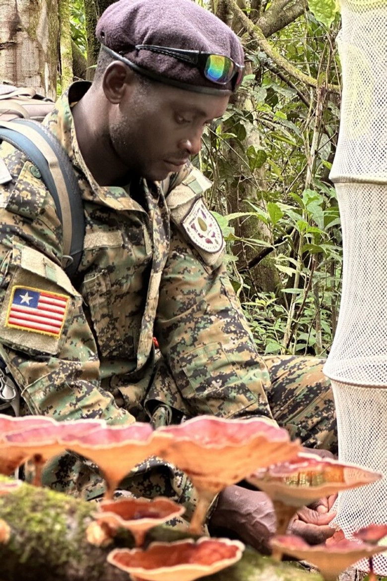 Imatge de Overburden