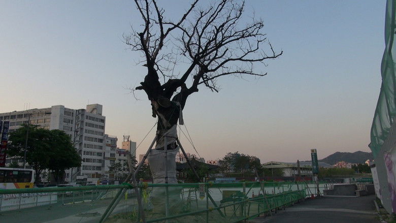 Gallery image from 5BBaikXEzG9kM4KR742IAGjXTH2.jpg