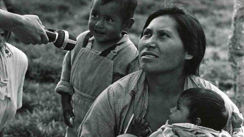 Gallery image from 5C6w095InAsnuYcvWrGF47WOw8z.jpg